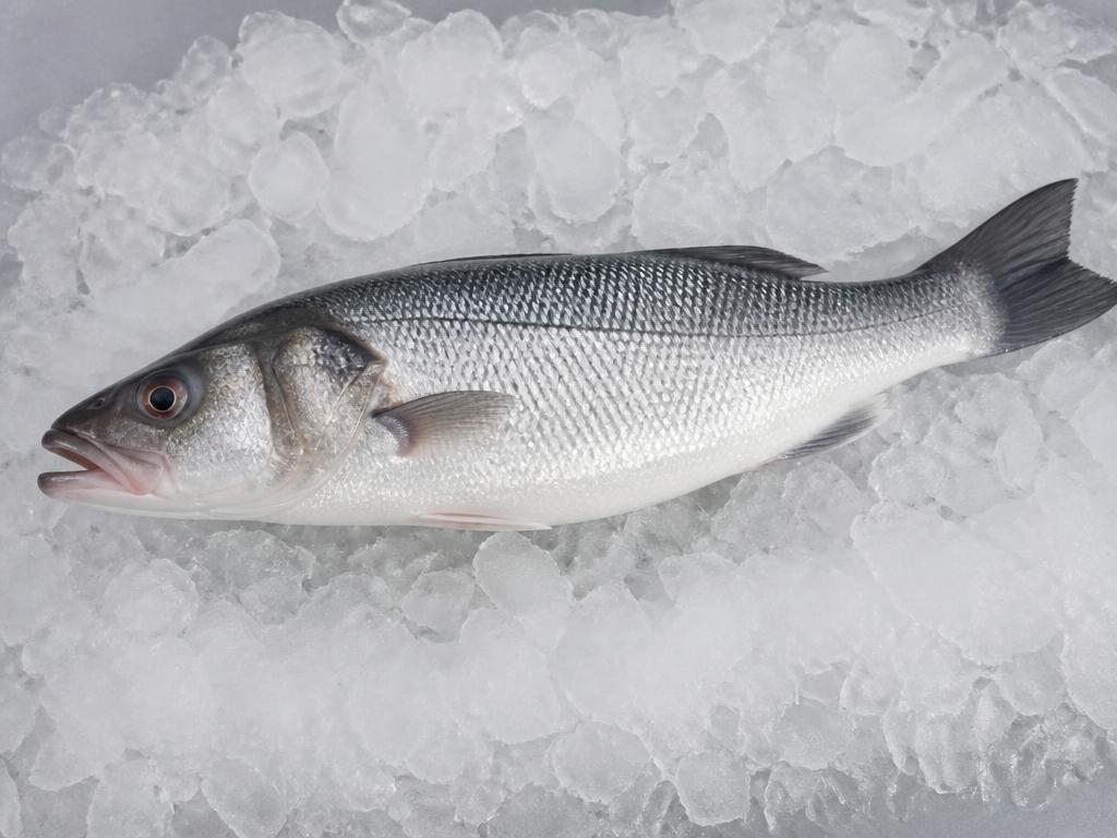 باغة